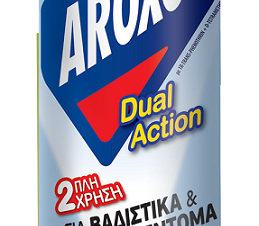 Εντομοκτόνο spray Dual Action (300ml)